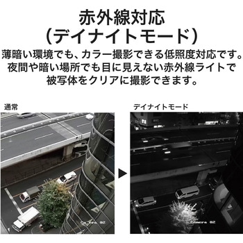 固定焦点ドーム型同軸カメラ 200万画素 防水 防塵 (IP67) DXアンテナ