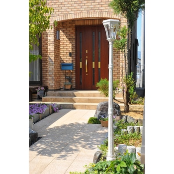 TAN-S328(IV) ���[���s�A���\�[���[�X�� �哿���� 21250479