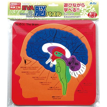 95038 EVA 脳パズル 1個 アーテック(学校教材・教育玩具) 【通販