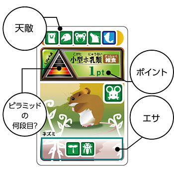 食物連鎖生態系カードゲーム 1個 アーテック 学校教材 教育玩具 通販サイトmonotaro