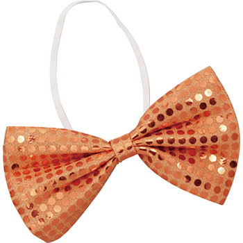 4091 LLlN^C A[ebN[wZށEߋ] 21265204