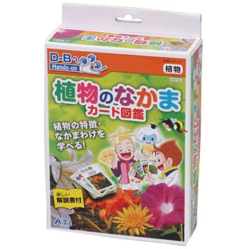 55723 植物のなかまカード図鑑 1個 アーテック(学校教材・教育