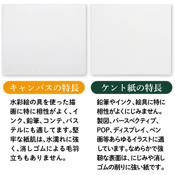 両面アートボード(厚さ1.5mm) アーテック(学校教材・教育玩具)
