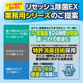 リセッシュ 香りが残らないタイプ 業務用 花王