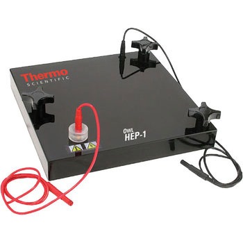 ブロッティングシステム Thermo Fisher Scientific