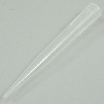 BM2070 �v���`�i�`�b�v �r�[�G���@�� 21310406