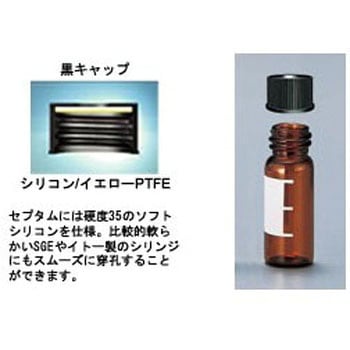 LB101197 oCA P~J 21312445