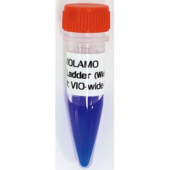 VIO-wide-5 DNA_[}[J[ VIOLAMO(rI) 21332228