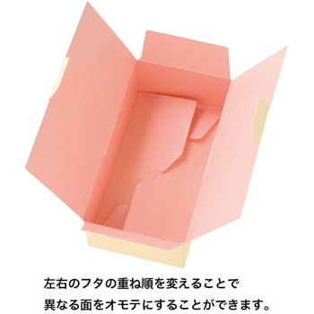 チューリップギフトボックス HEADS(ヘッズ)