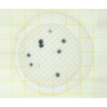 6408AQYM ygtB|n(①) Solventum(\x^)(X[G wXPA) 21337137