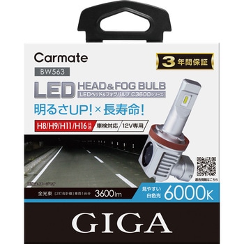 GIGA LEDヘッド&フォグバルブ C3600 カーメイト