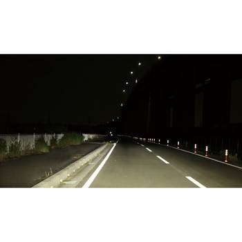 GIGA LEDヘッドバルブ C3600 カーメイト