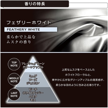 ブラング 噴霧式ディフューザー専用フレグランスオイル カーメイト
