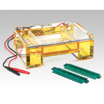 OW-B2 dCj Thermo Fisher Scientific 21343315
