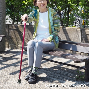 バンブーステッキ 竹虎