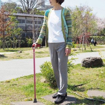 バンブーステッキ 竹虎