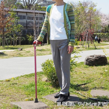 バンブーステッキ 竹虎
