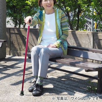バンブーステッキ 竹虎