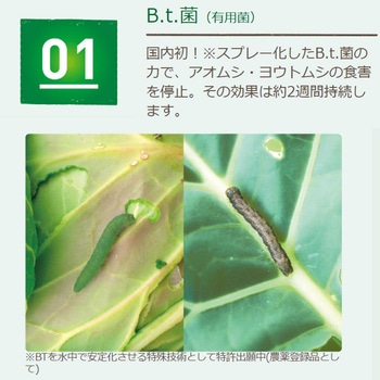 ベニカナチュラルスプレー 住友化学園芸
