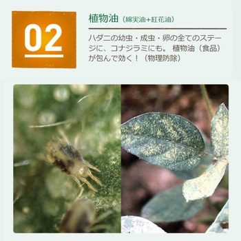 ベニカナチュラルスプレー 住友化学園芸