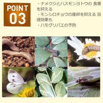 ピュアベニカ つめかえ用 900ml 住友化学園芸