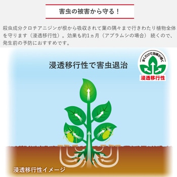 ベニカXガード粒剤 住友化学園芸