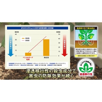 ベニカXガード粒剤 住友化学園芸