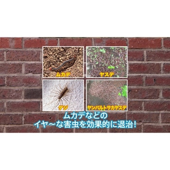 ムカデ粉剤EX 1.2kg 住友化学園芸