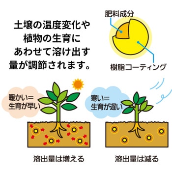 ベジフル 1.2kg 住友化学園芸