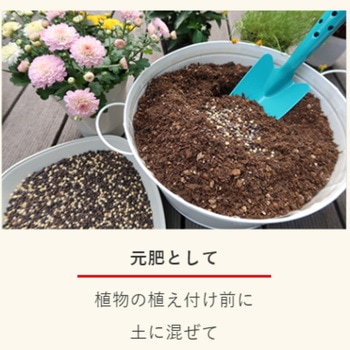 ベジフル 1.2kg 住友化学園芸