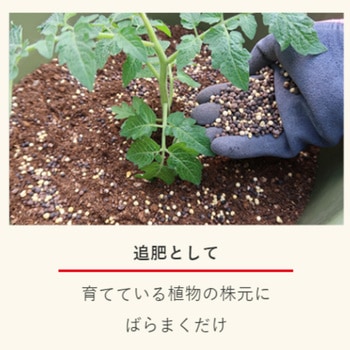 ベジフル 1.2kg 住友化学園芸