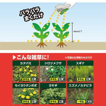 ネコソギトップW粒剤 1袋(10kg) レインボー薬品 【通販モノタロウ】