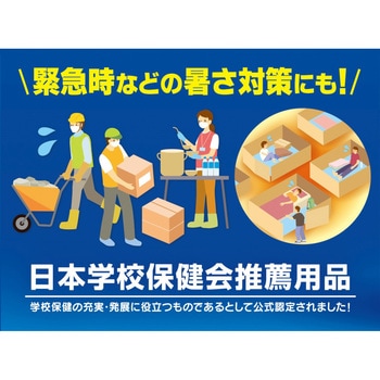 塩分チャージタブレッツ BIG カバヤ食品