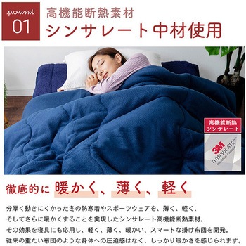 掛け布団 高機能断熱シンサレート ナイスデイ