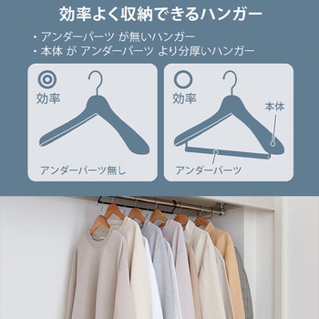 ダブル収納ハンガー 伸晃