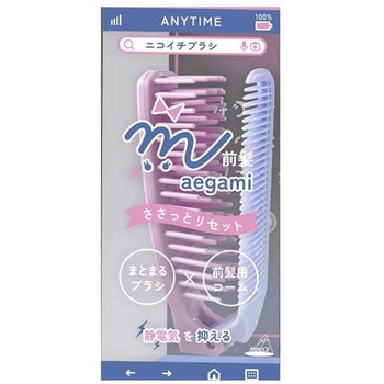 ニコイチブラシ アヌシ