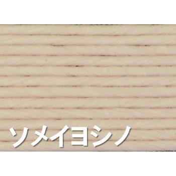 紙バンド(クラフトバンド) 10mパック 紺屋商事