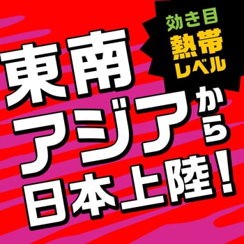 アース虫よけ線香 モンスーン - アース製薬
