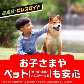 アース虫よけ線香 モンスーン - アース製薬