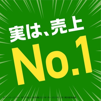 アース虫よけネットEX あみ戸用 1年用 アース製薬
