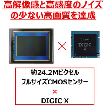 EOSR8 ミラーレスカメラ EOS R8・ボディー 1個 Canon 【通販 EOSR8 ミラーレスカメラ EOS R8・ボディー 1個 Canon 【通販