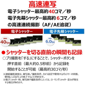 EOSR8 ミラーレスカメラ EOS R8・ボディー 1個 Canon 【通販 EOSR8 ミラーレスカメラ EOS R8・ボディー 1個 Canon 【通販