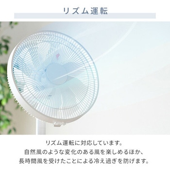 AHX-FGD301(BK) 扇風機 DCモーター 左右首振り 静音 切タイマー