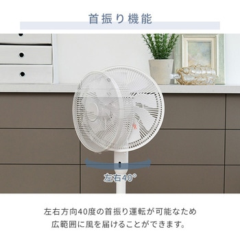 AELX-EGD30(GR) リビング扇風機 DCモーター/風量5段階/切タイマー 1台