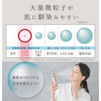 beapro19 withミスト リッチミストガン 大河商事