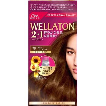 - �E�G���g�[��2+1�~���L�[�^�C�v HFC�v���X�e�[�W�W���p�� 21470455