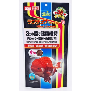 ランチュウベビーゴールド キョーリン