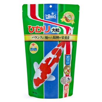 - �Ђ��� �L���[���� 21485015