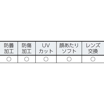 AEGAT49912A-2R イージス アーク (AEGIS ARC) アンチフォグ加工 1個