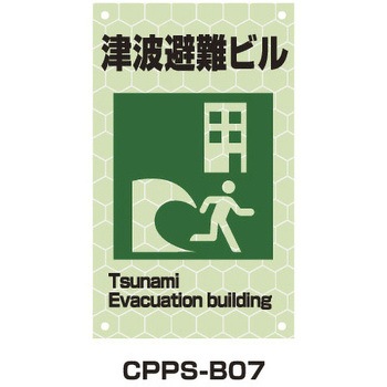 CPPS-B07 ~vYsNgTC g[OSH Ôgr 300mm500mm  CPPS-B07 21491769